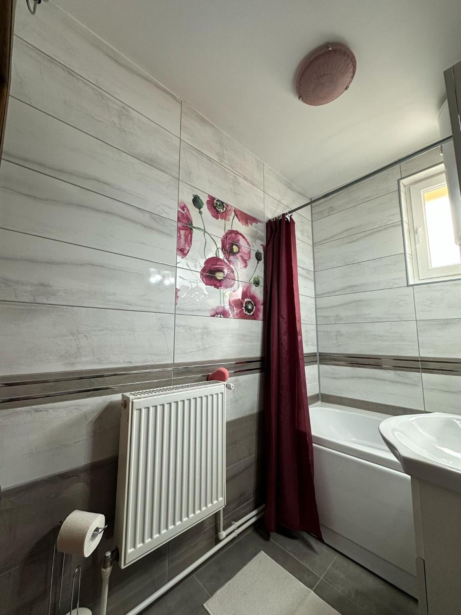 Apartament De Inchiriat 보르섹 외부 사진